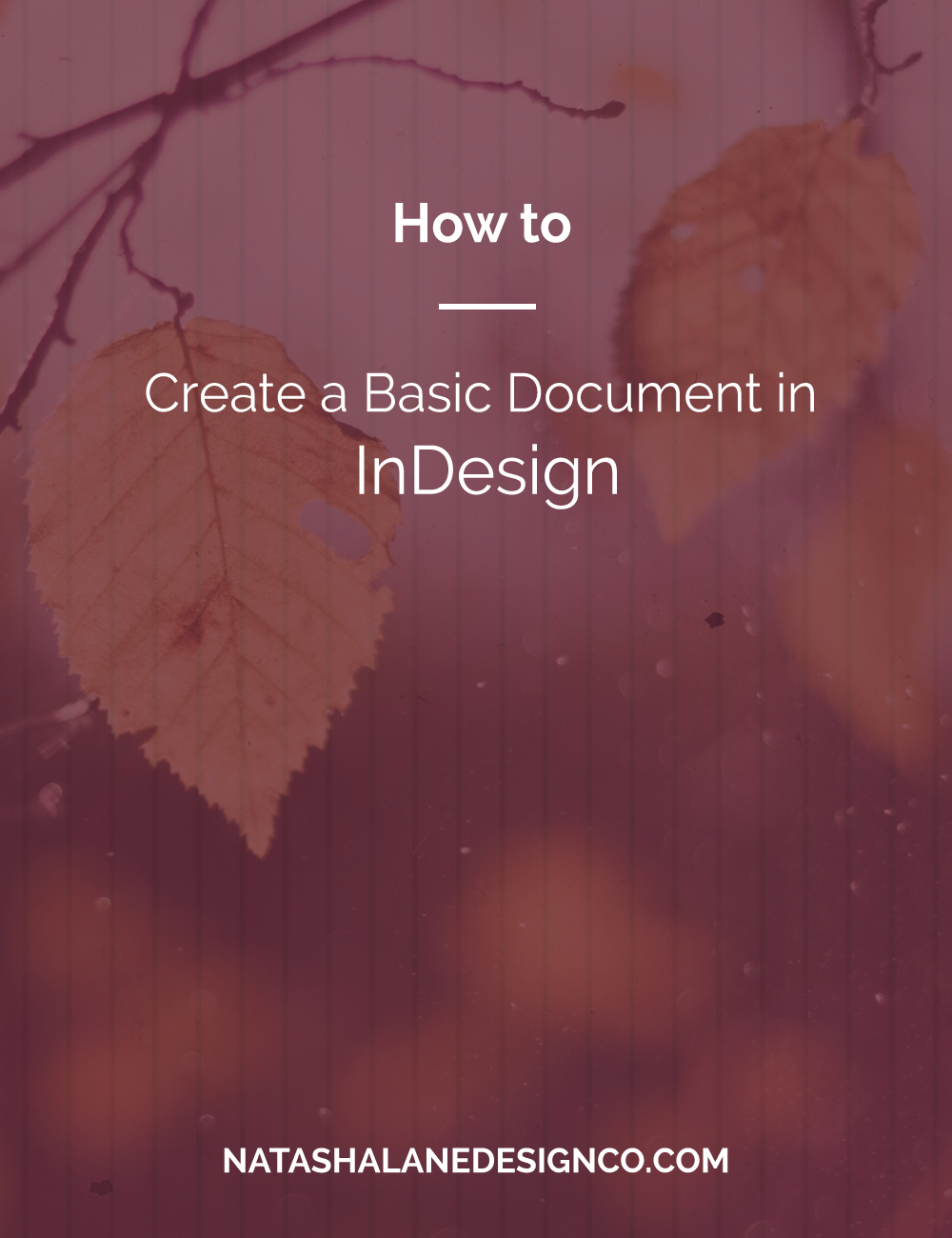 How to Create a Basic Document in Indesign