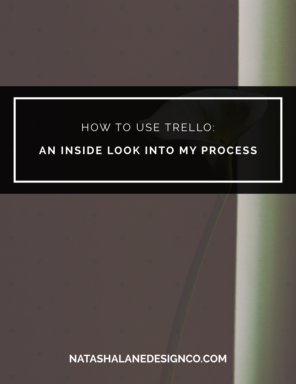 How to use Trello: An Inside Look into My Process