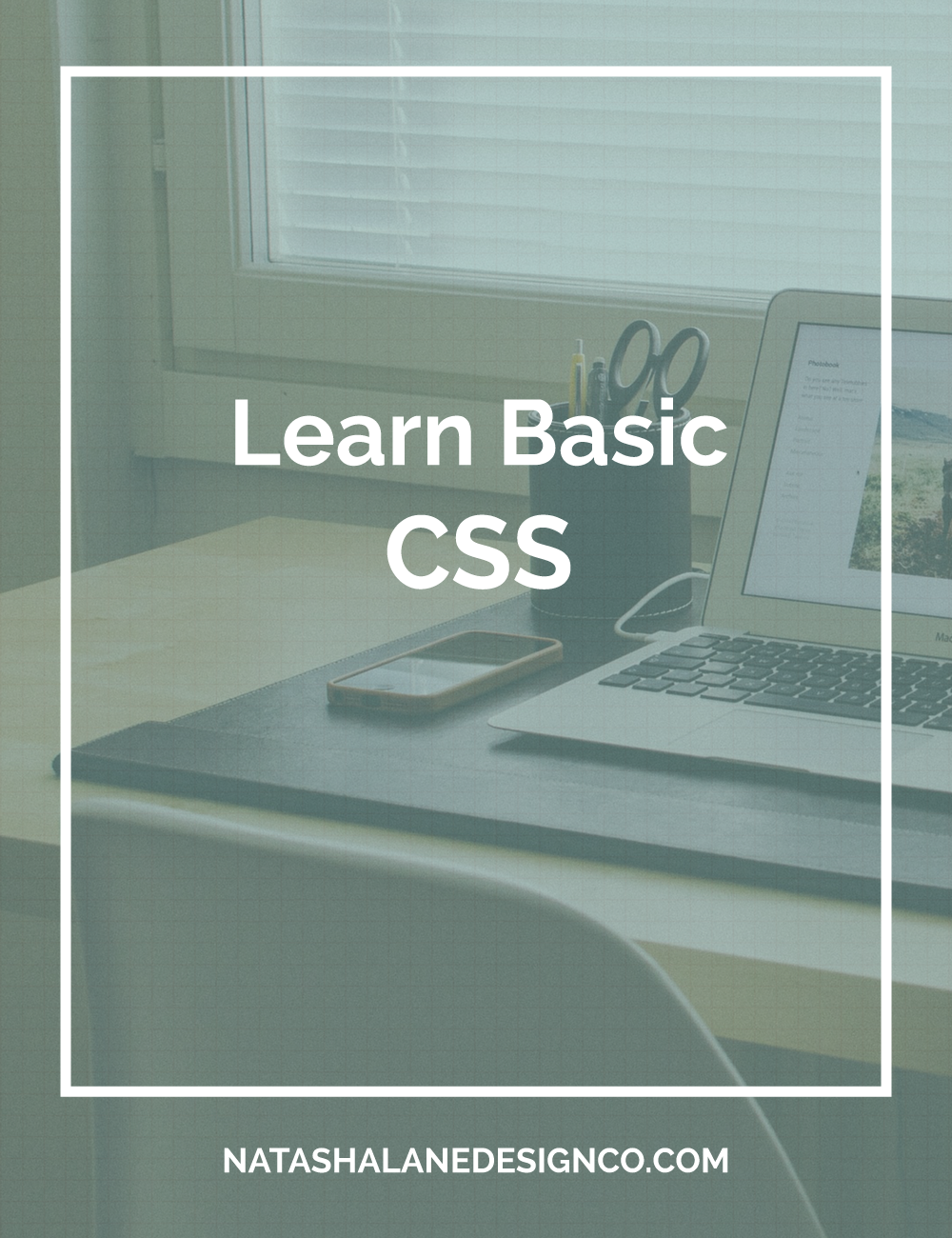 Learn Basic CSS